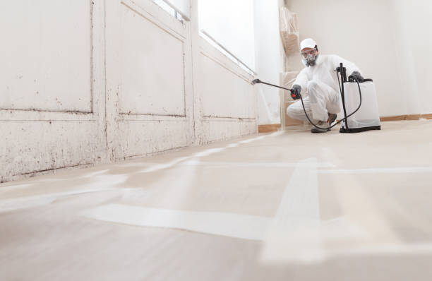 24/7 Emergency Mold Remediation experts in Wayland, MI